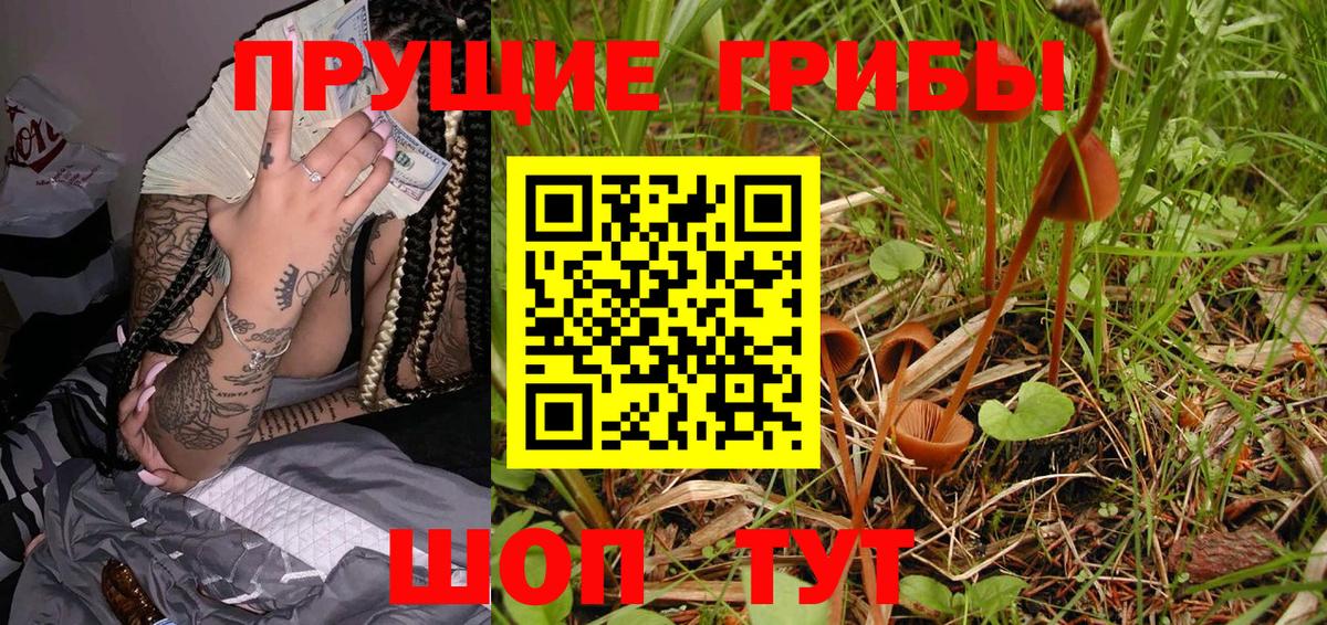 Галлюциногенные грибы Psilocybe  Галлюциногенные грибы Psilocybine cubensis  Кондопога  Вход с VPN 